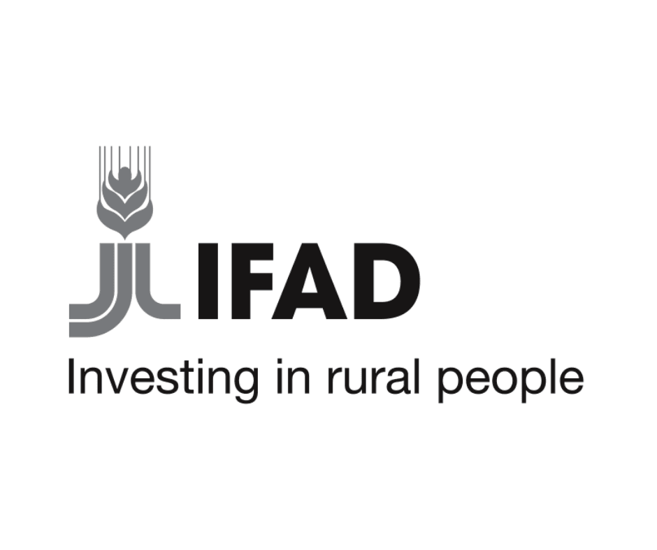 International Fund for Agricultural Development (IFAD) logo